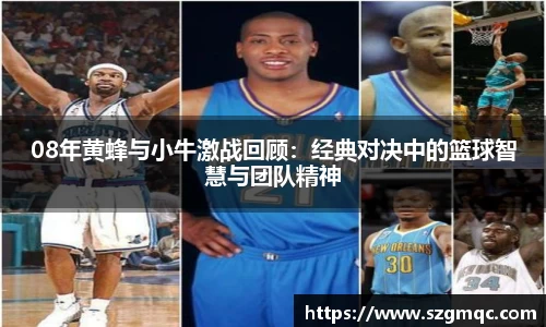 08年黄蜂与小牛激战回顾：经典对决中的篮球智慧与团队精神